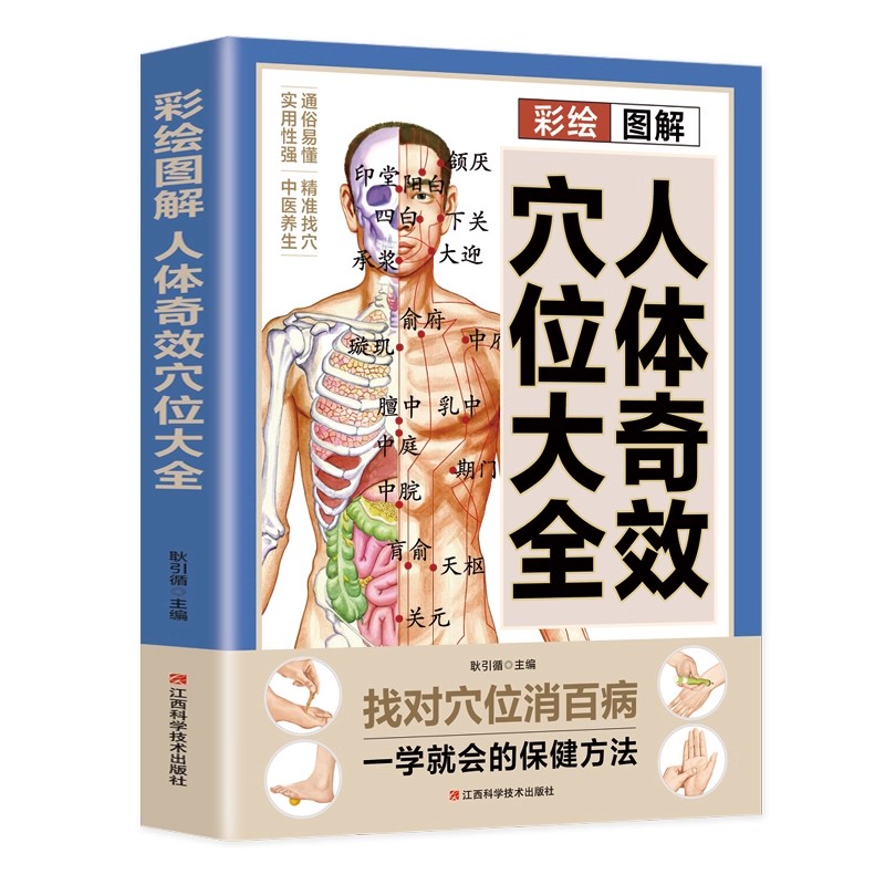 経穴マッサージと伝統的な中国医学の健康維持療法の完全ガイド  - Health & Wellness Photos のレビューと価格
